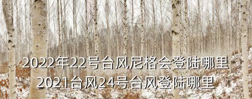 2022年22號(hào)臺(tái)風(fēng)尼格會(huì)登陸哪里2021臺(tái)風(fēng)24號(hào)臺(tái)風(fēng)登陸哪里