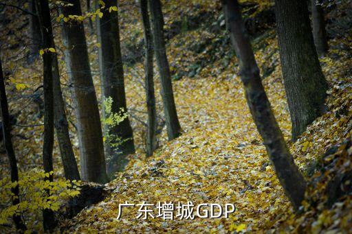 增城區(qū)gdp,廣州上半年各區(qū)gdp排名出爐!
