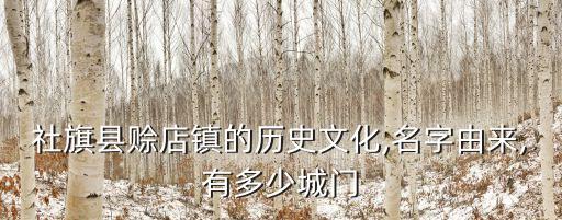 社旗縣賒店鎮的歷史文化,名字由來,有多少城門