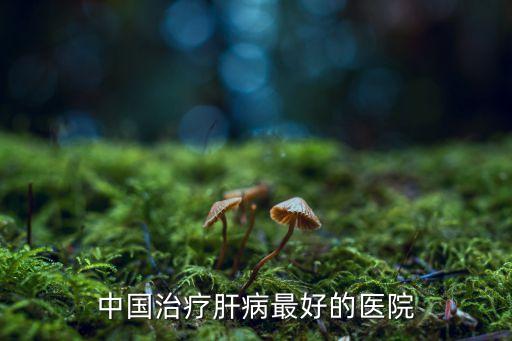 中國治療肝病最好的醫院
