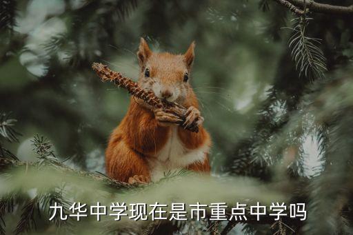 九華中學(xué),九華中學(xué)是市重點(diǎn)中學(xué)嗎?不是!