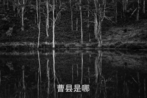 曹縣在哪個(gè)省哪個(gè)市,山東菏澤隸屬于哪個(gè)省轄市