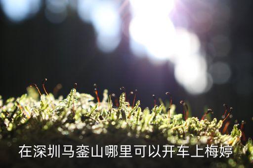 深圳馬巒山,深圳馬巒山高度有多高?