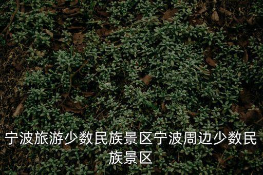 寧波旅游少數(shù)民族景區(qū)寧波周邊少數(shù)民族景區(qū)