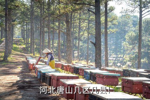 唐山有哪些區,唐山有多少個縣/區?