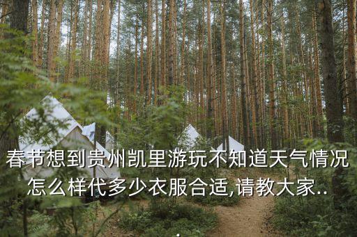 春節想到貴州凱里游玩不知道天氣情況怎么樣代多少衣服合適,請教大家...