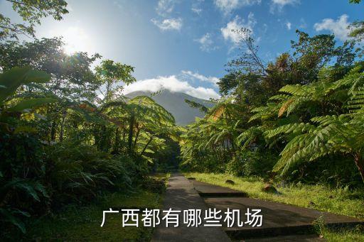 南寧飛機場,從南寧飛機場到高鐵南站要多長時間?