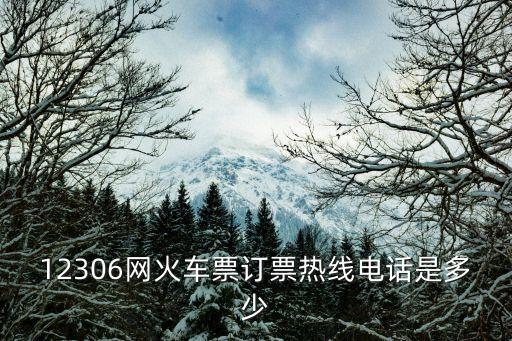 中國鐵路12306,中國鐵路12306客戶服務電話是多少?