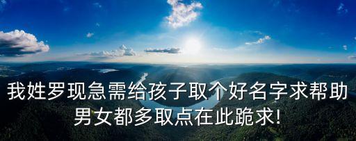 羅舒,羅勝義、羅坤昀、羅文秀、羅廉貞、羅羅蕙菁等羅羅多羅羅羅