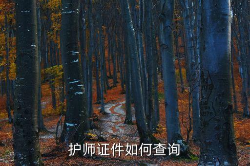 護師證件如何查詢
