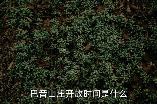 巴音溝,巴音山莊開放時間是什么?