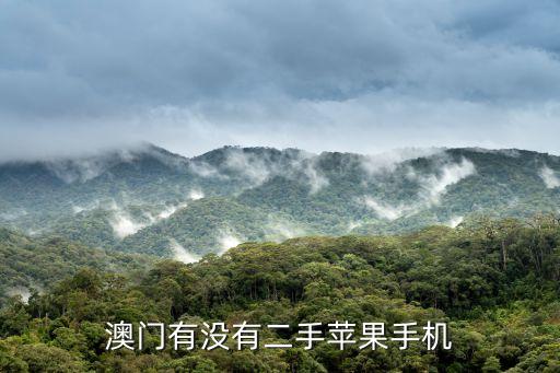 蘋果澳門,澳門一個蘋果指代澳門版蘋果手機