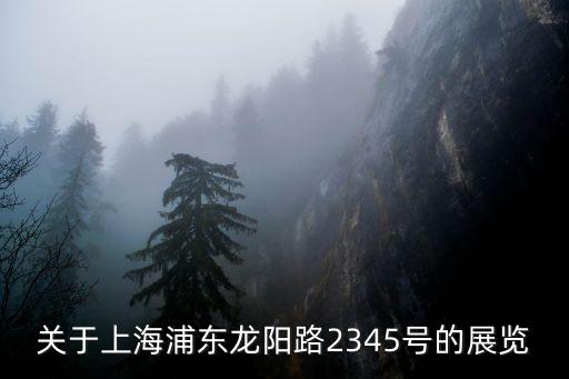 2345影院,龍門石窟和少室山2月2日登場!
