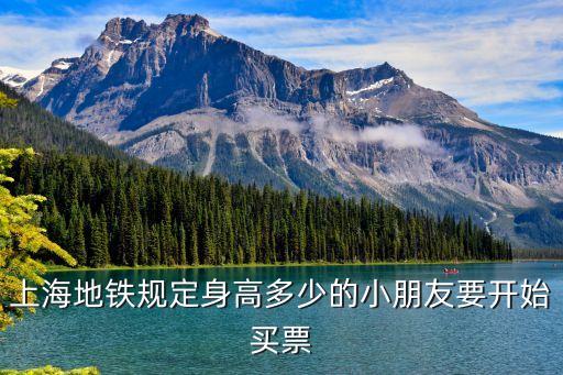 上海地鐵兒童票,上海地鐵怎么買票?
