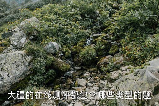 大疆校招,網傳18年互聯網校招高薪清單大疆在線測評有哪些類型?