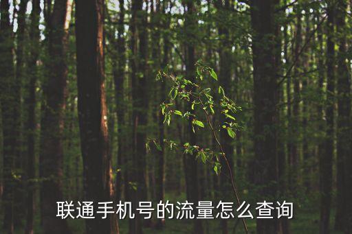 中國聯通流量查詢,中國聯通卡怎么查流量?通訊怎么看!