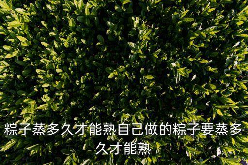 粽子蒸多長時間,粽子要蒸煮多長時間才能熟?一文看懂