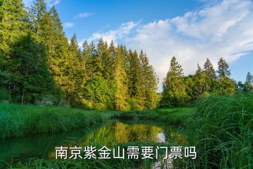 紫金山索道,南京紫金山坐索道需要走路嗎?