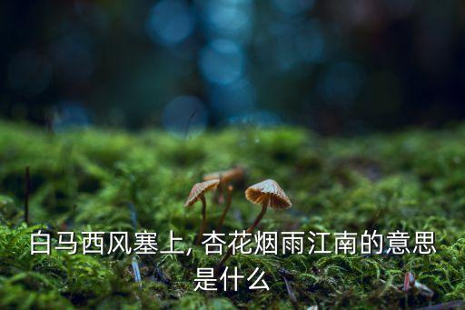 白馬西風塞上, 杏花煙雨江南的意思是什么