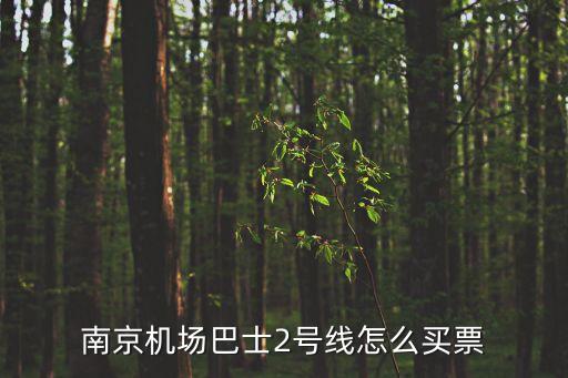 南京機場巴士2號線怎么買票