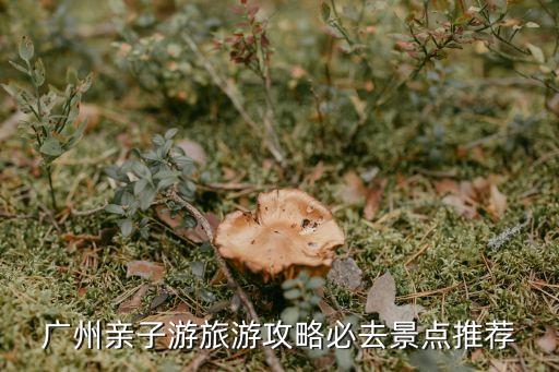廣州親子游旅游攻略必去景點推薦
