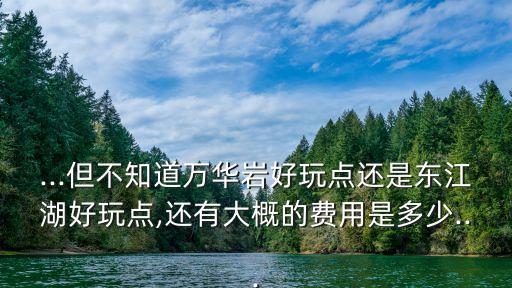 ...但不知道萬華巖好玩點還是東江湖好玩點,還有大概的費用是多少...