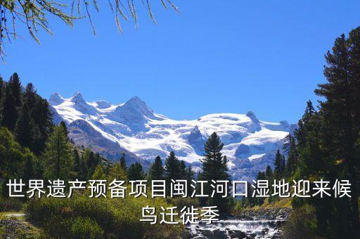 世界遺產預備項目閩江河口濕地迎來候鳥遷徙季