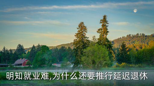 明知就業難,為什么還要推行延遲退休