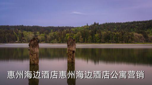 惠州海邊酒店惠州海邊酒店公寓營銷