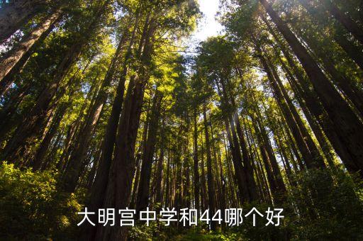 西安大明宮中學,西安大明宮中學和西安鐵一中哪個好?