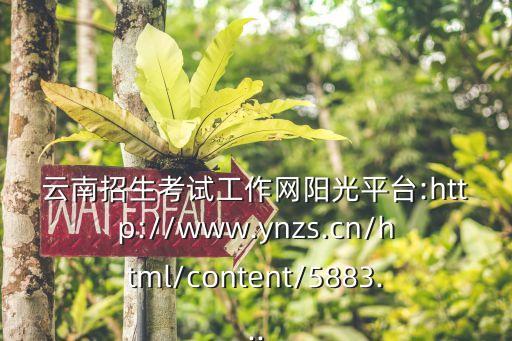 云南招生考試工作網陽光平臺:http://www.ynzs.cn/html/content/5883...