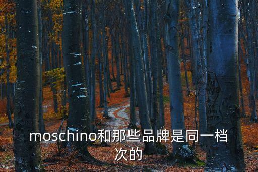 moschino和那些品牌是同一檔次的