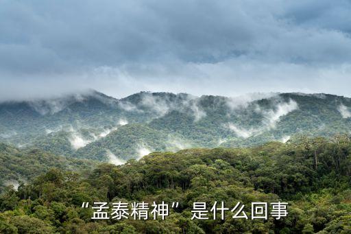 “孟泰精神”是什么回事