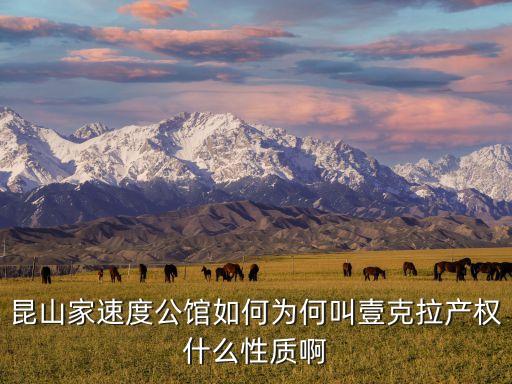 昆山家速度公館如何為何叫壹克拉產權什么性質啊