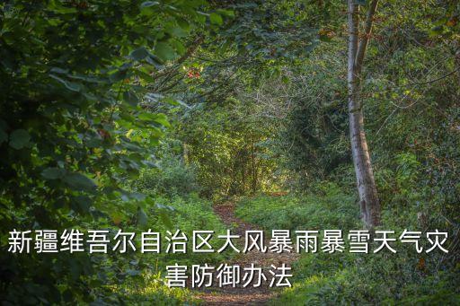 新疆維吾爾自治區大風暴雨暴雪天氣災害防御辦法