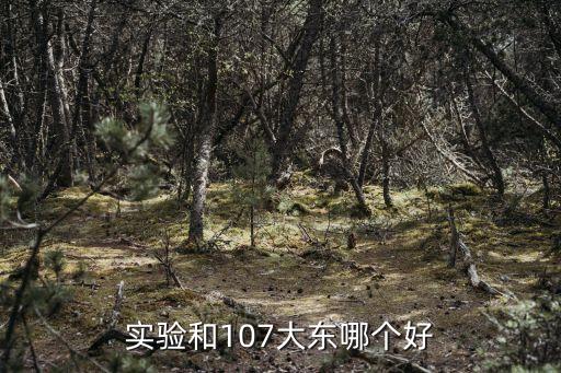 實驗和107大東哪個好