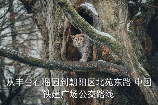 中國鐵建廣場,中國鐵建廣場怎么走?走一趟公交車!