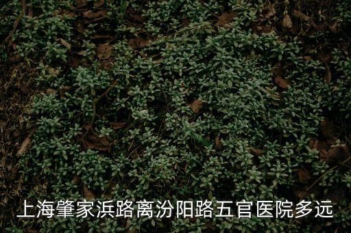 炎虹路,上海肇家浜路離汾陽路官醫院多遠