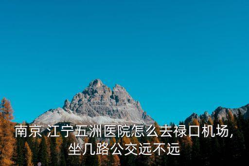 南京 江寧五洲醫(yī)院怎么去祿口機(jī)場(chǎng),坐幾路公交遠(yuǎn)不遠(yuǎn)