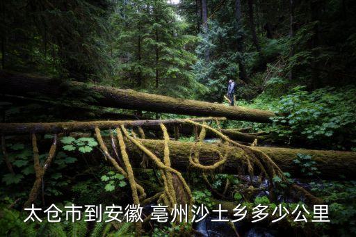 亳州沙土,開(kāi)車(chē)到沙土鎮(zhèn)126公里路況介紹一下