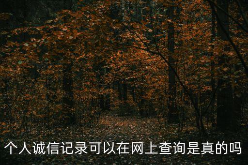 個人誠信記錄可以在網上查詢是真的嗎