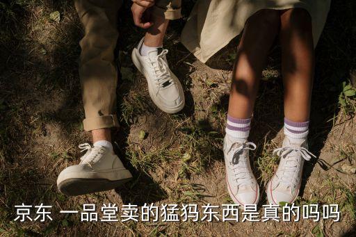一品堂,天龍八部之一品堂劇情任務怎么做?