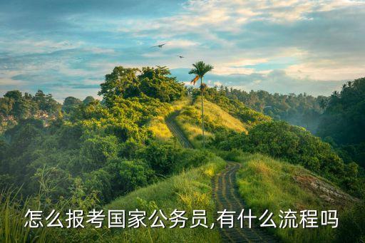 怎么報考國家公務員,有什么流程嗎
