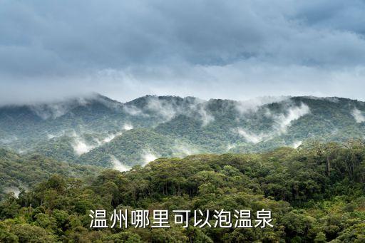 泰順氡泉,溫州十大避暑勝地之泰順三景點