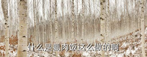 什么是甏肉飯這么做的啊