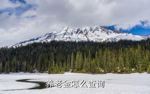 個人養老查詢,如何查個人養老金賬戶余額?
