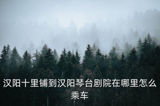 漢陽(yáng)十里鋪到漢陽(yáng)琴臺(tái)劇院在哪里怎么乘車(chē)
