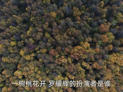 一樹桃花開 羅耀輝的扮演者是誰
