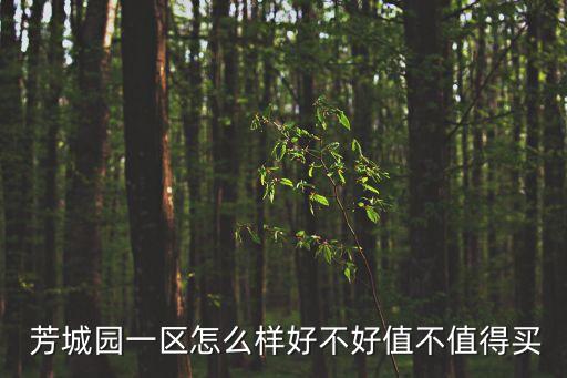 芳城園一區(qū),方莊街道行政區(qū)劃2011年末曾有芳古園一區(qū)和芳城園二區(qū)居民