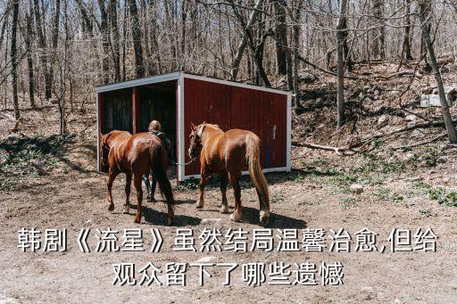 李圣經演過的韓劇,